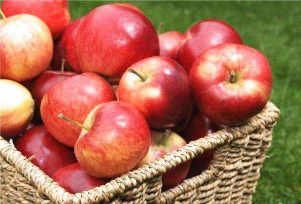 晚上吃苹果是毒苹果是真是假？